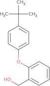 [2-(4-tert-Butylphenoxy)phenyl]methanol