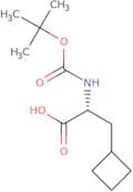 Boc-(R)-3-Cyclobutylalanine