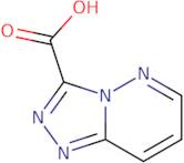 2,5-Dichloro-4-(propan-2-yloxy)aniline