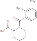 1-(2,3-Dimethylbenzoyl)piperidine-2-carboxylic acid
