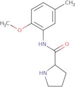 N-(2-Methoxy-5-methylphenyl)pyrrolidine-2-carboxamide