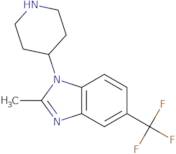 2-Methyl-1-piperidin-4-yl-5-trifluoromethyl-1H-benzoimidazole