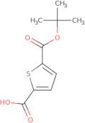 Thiophene-2,5-dicarboxylic acid mono tert-butylester
