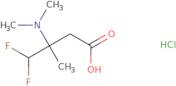 3-(Dimethylamino)-4,4-difluoro-3-methylbutanoic acid hydrochloride