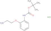 tert-Butyl N-[2-(2-aminoethoxy)phenyl]carbamate hydrochloride