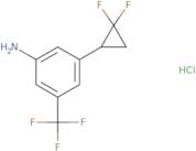 3-(2,2-Difluorocyclopropyl)-5-(trifluoromethyl)aniline hydrochloride