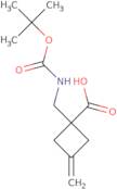 1-({[(tert-Butoxy)carbonyl]amino}methyl)-3-methylidenecyclobutane-1-carboxylic acid