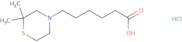 6-(2,2-Dimethylthiomorpholin-4-yl)hexanoic acid hydrochloride