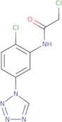 2-Chloro-N-[2-chloro-5-(1H-1,2,3,4-tetrazol-1-yl)phenyl]acetamide