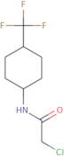 2-Chloro-N-[4-(trifluoromethyl)cyclohexyl]acetamide