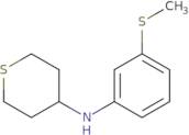 N-[3-(Methylsulfanyl)phenyl]thian-4-amine