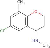 6-Chloro-N,8-dimethyl-3,4-dihydro-2H-1-benzopyran-4-amine