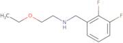 [(2,3-Difluorophenyl)methyl](2-ethoxyethyl)amine