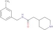 N-(3-Methylbenzyl)-2-piperidin-4-ylacetamide hydrochloride