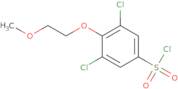 3,5-Dichloro-4-(2-methoxyethoxy)benzene-1-sulfonyl chloride