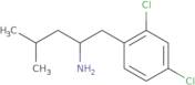 1-(2,4-Dichlorophenyl)-4-methylpentan-2-amine