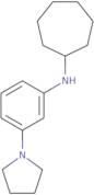 N-[3-(Pyrrolidin-1-yl)phenyl]cycloheptanamine