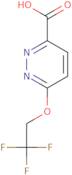 6-(2,2,2-Trifluoroethoxy)pyridazine-3-carboxylic acid