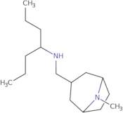 (Heptan-4-yl)({8-methyl-8-azabicyclo[3.2.1]octan-3-yl}methyl)amine