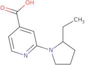 2-(2-Ethylpyrrolidin-1-yl)pyridine-4-carboxylic acid