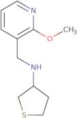 N-[(2-Methoxypyridin-3-yl)methyl]thiolan-3-amine