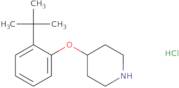 2-Fluoro-4-(4-trifluoromethoxyphenyl)benzoic acid