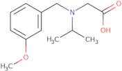 [Isopropyl-(3-methoxy-benzyl)-amino]-acetic acid