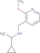 (1-Cyclopropylethyl)[(2-methoxypyridin-3-yl)methyl]amine