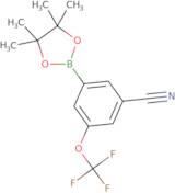 3-Cyano-5-(trifluoromethoxy)phenylboronic acid, pinacol ester