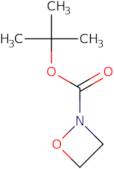 tert-Butyl 1,2-oxazetidine-2-carboxylate