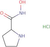 N-Hydroxypyrrolidine-2-carboxamide hydrochloride