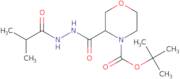 tert-Butyl 3-[N'-(2-methylpropanoyl)hydrazinecarbonyl]morpholine-4-carboxylate