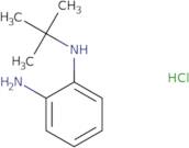 N1-tert-Butylbenzene-1,2-diamine hydrochloride