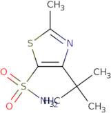 4-tert-Butyl-2-methyl-1,3-thiazole-5-sulfonamide