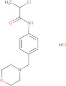 2-Chloro-N-[4-(morpholin-4-ylmethyl)phenyl]propanamide hydrochloride