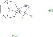 8-Methyl-3-(trifluoromethyl)-8-azabicyclo[3.2.1]octan-3-amine dihydrochloride
