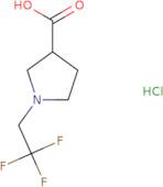 1-(2,2,2-Trifluoroethyl)pyrrolidine-3-carboxylic acid hydrochloride