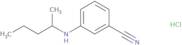 3-[(Pentan-2-yl)amino]benzonitrile hydrochloride