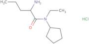 2-Amino-N-cyclopentyl-N-ethylpentanamide hydrochloride