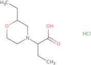 2-(2-Ethylmorpholin-4-yl)butanoic acid hydrochloride