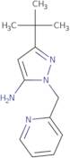 3-tert-Butyl-1-(pyridin-2-ylmethyl)-1H-pyrazol-5-amine
