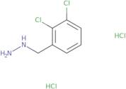 [(2,3-Dichlorophenyl)methyl]hydrazine dihydrochloride