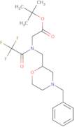 tert-Butyl 2-{N-[(4-benzylmorpholin-2-yl)methyl]-2,2,2-trifluoroacetamido}acetate