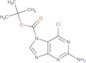 tert-Butyl 2-amino-6-chloro-7H-purine-7-carboxylate