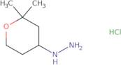 (2,2-Dimethyloxan-4-yl)hydrazine hydrochloride