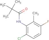 N-(6-Chloro-3-fluoro-2-methylphenyl)-2,2-dimethylpropanamide