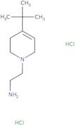 2-(4-tert-Butyl-1,2,3,6-tetrahydropyridin-1-yl)ethan-1-amine dihydrochloride