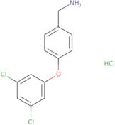 [4-(3,5-Dichlorophenoxy)phenyl]methanamine hydrochloride