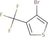 3-Bromo-4-(trifluoromethyl)thiophene