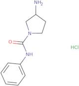 3-Amino-N-phenylpyrrolidine-1-carboxamide hydrochloride